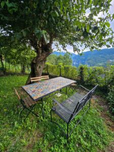 WhatsApp Image 2026-02-18 at 4.24.25 PM (1)