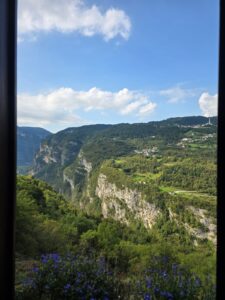 WhatsApp Image 2026-02-18 at 4.24.27 PM (2)