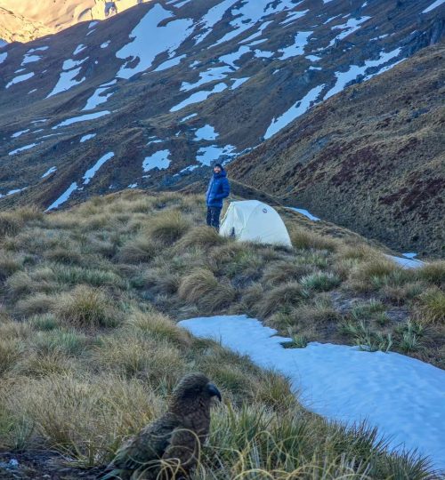 tent 6